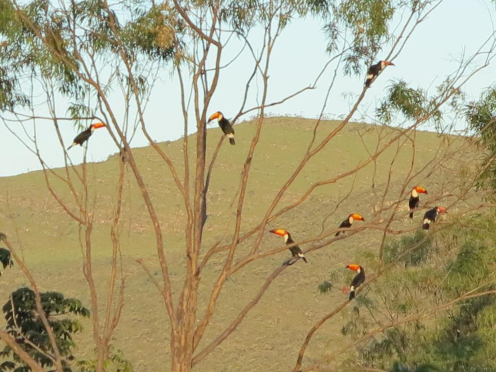 ホテル Pousada Recanto Da Grande Paz Alto Paraíso de Goiás エクステリア 写真